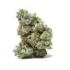 Italian Ice Strain