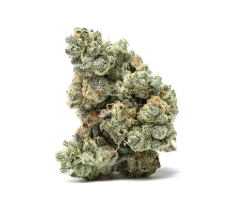 Italian Ice Strain