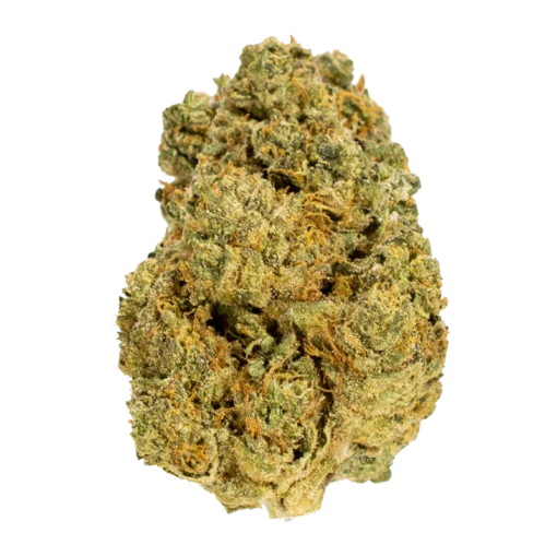 Black Cherry Gelato Strain