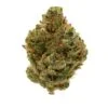 Gorilla Glue Strain