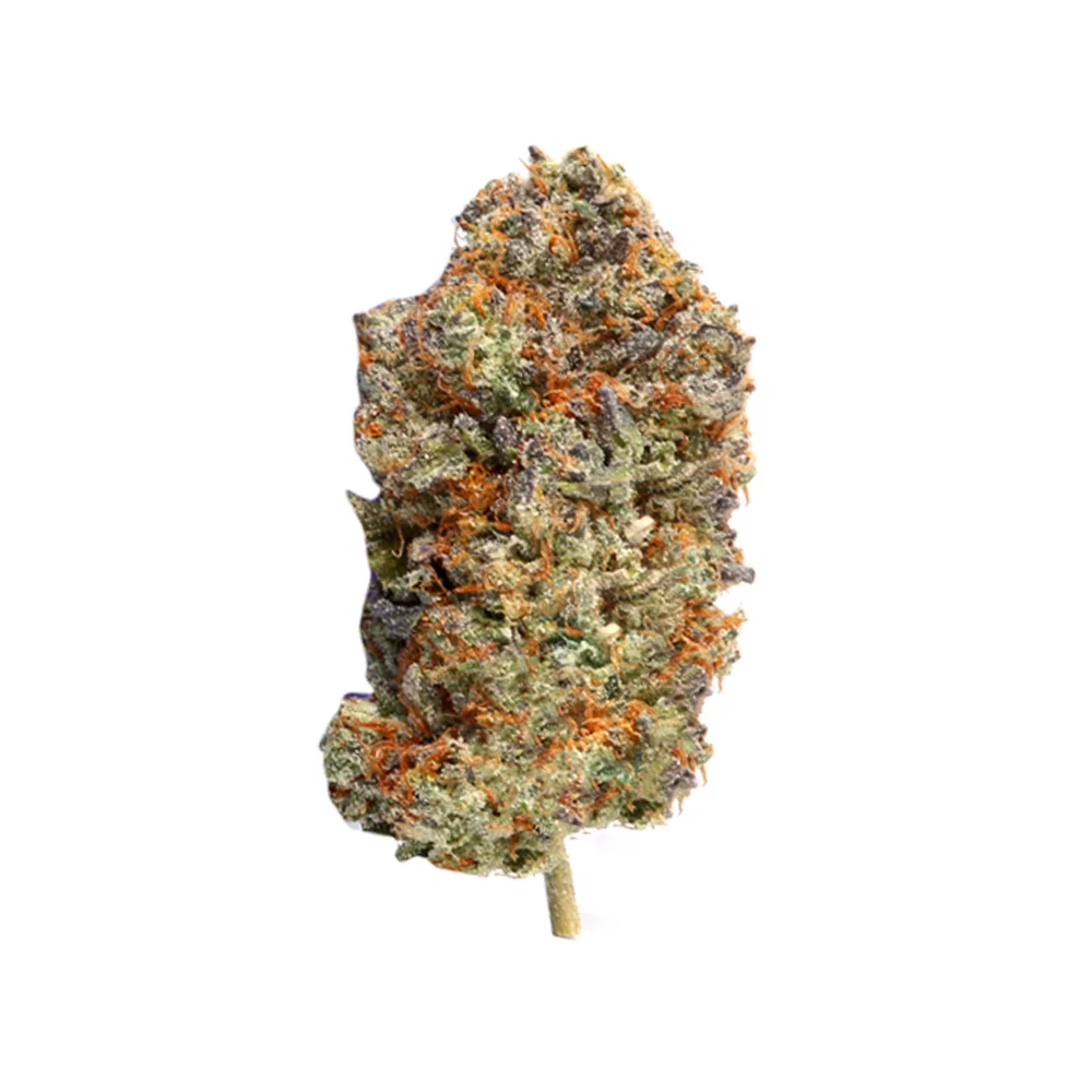 Discover the Grease Monkey Strain: A Hybrid Experience