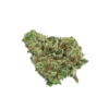 Watermelon Mimosa Strain