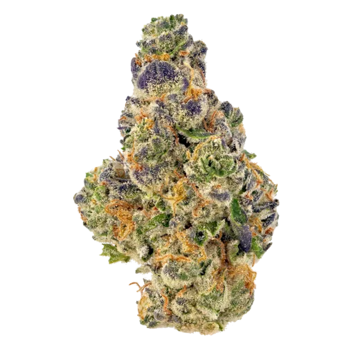 Gumbo Strain