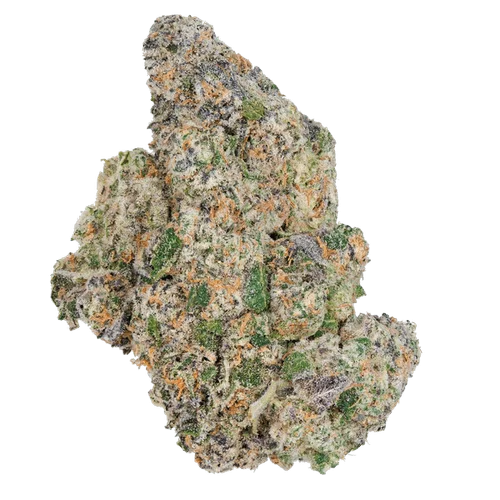 Jealousy OG Runtz Strain